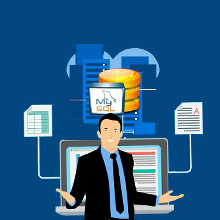 Database Management Software in Gurgaon