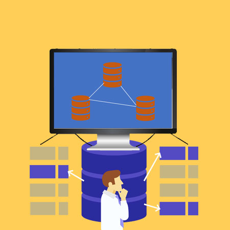 Relational Database Management Software in Delhi